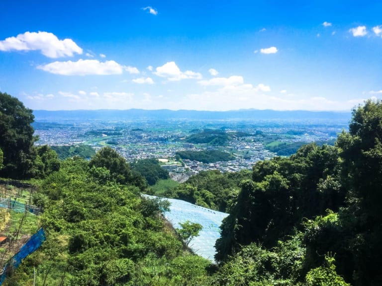 【生駒市】夏休みの行楽におすすめ!生駒山麓公園のファミリーアウトドア教室 | 号外NET 生駒市・香芝市