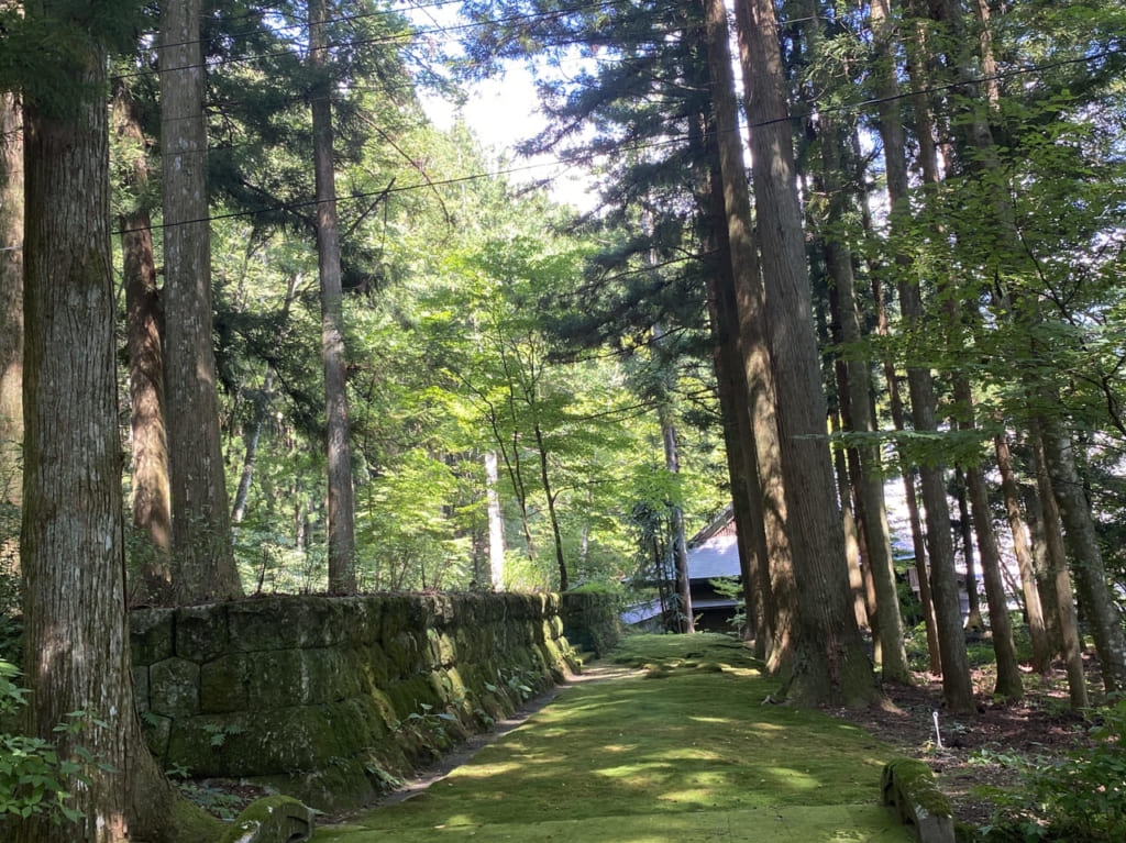 神社の参道