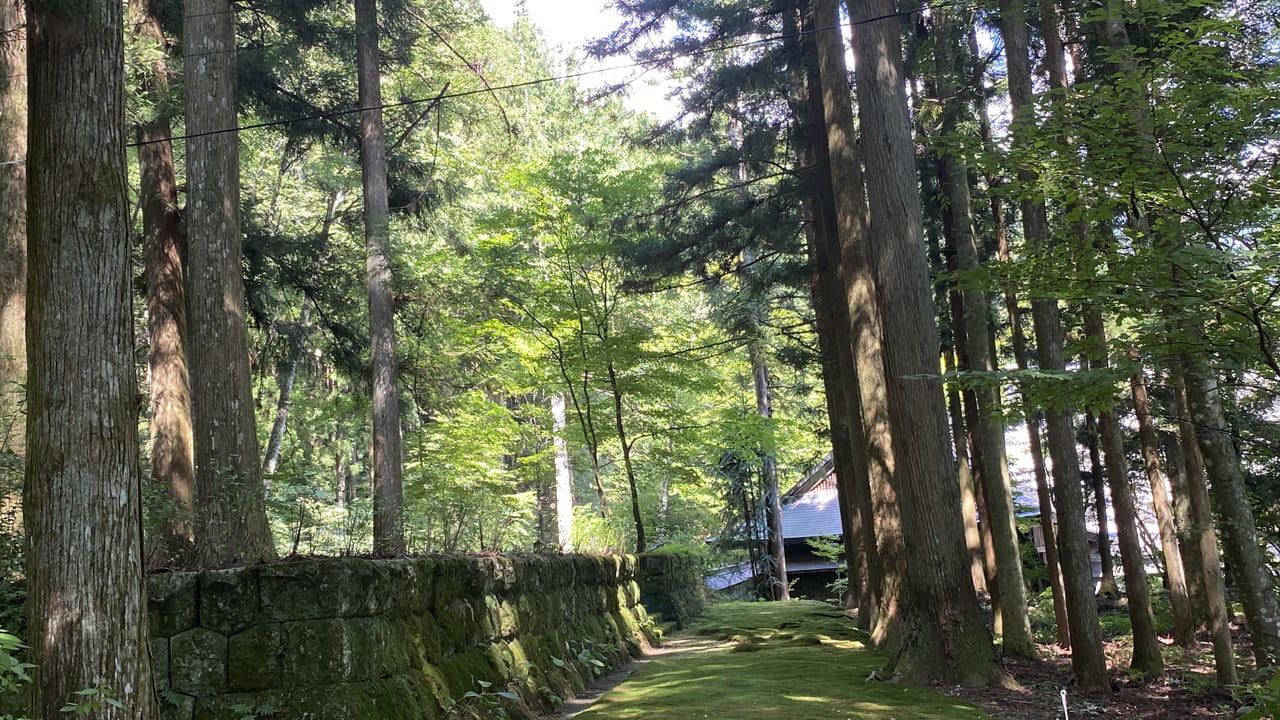 神社の参道