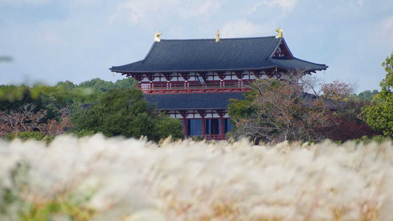 平城京跡