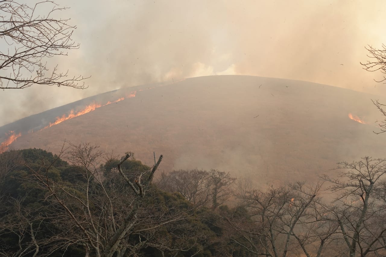 山焼き