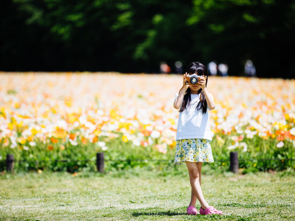 女の子の写真