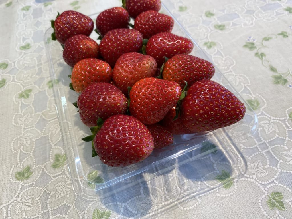 佃農園のいちご