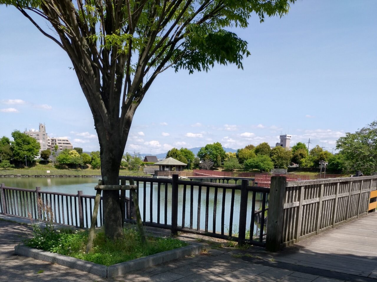 今池親水公園