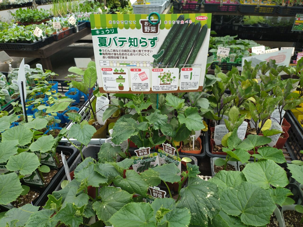 アップルハウス