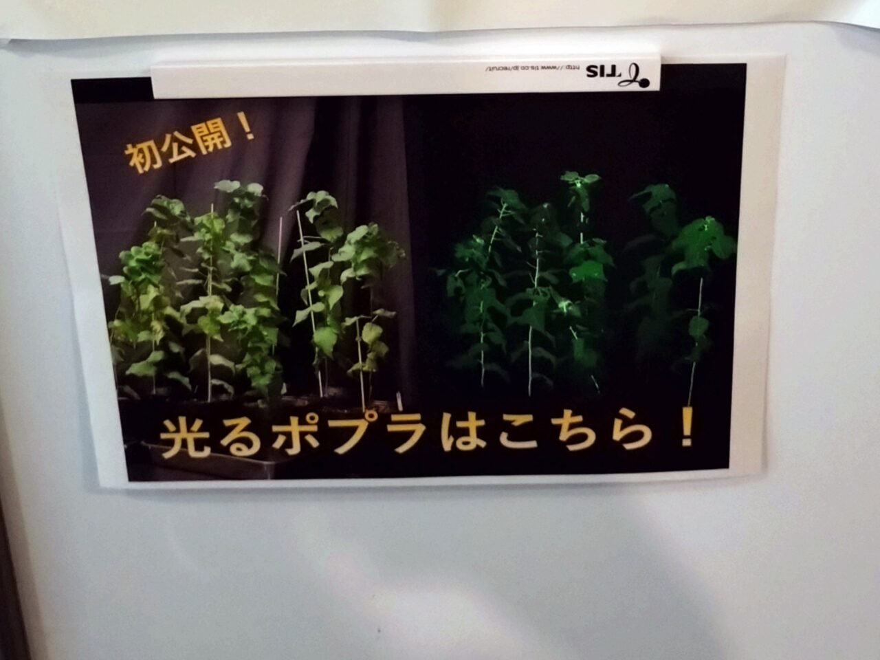ナイスポ2025
