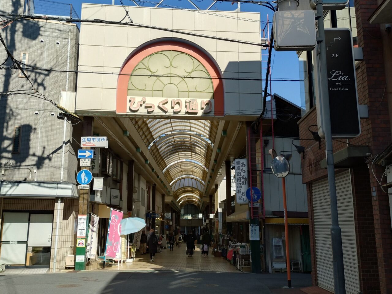 ぴっくり通り商店街