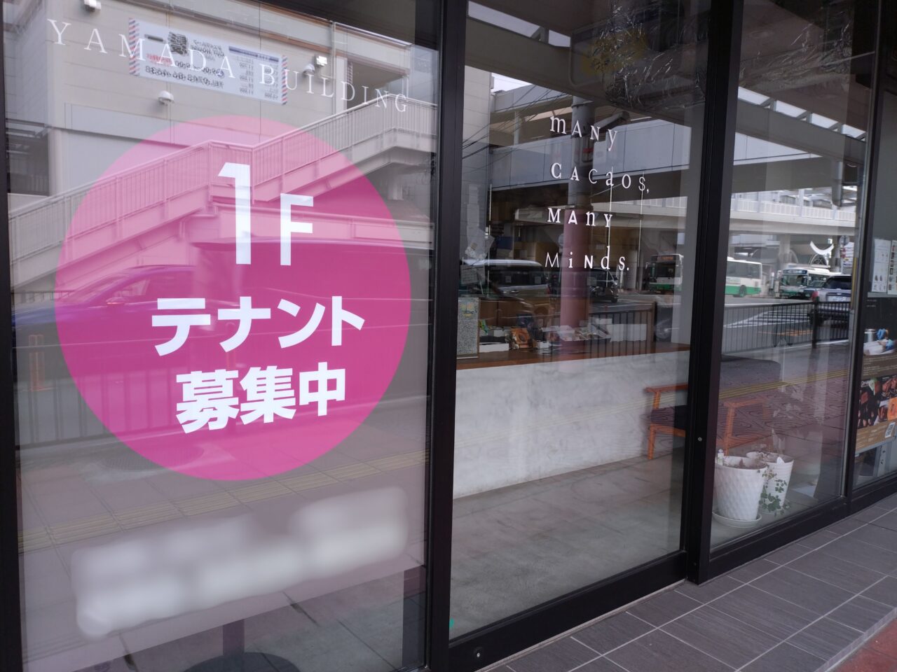 Many Cacaos, Many Minds.