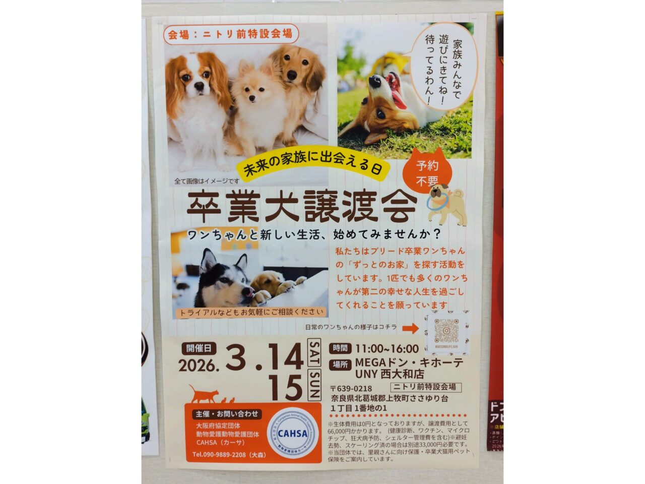 卒業犬譲渡会