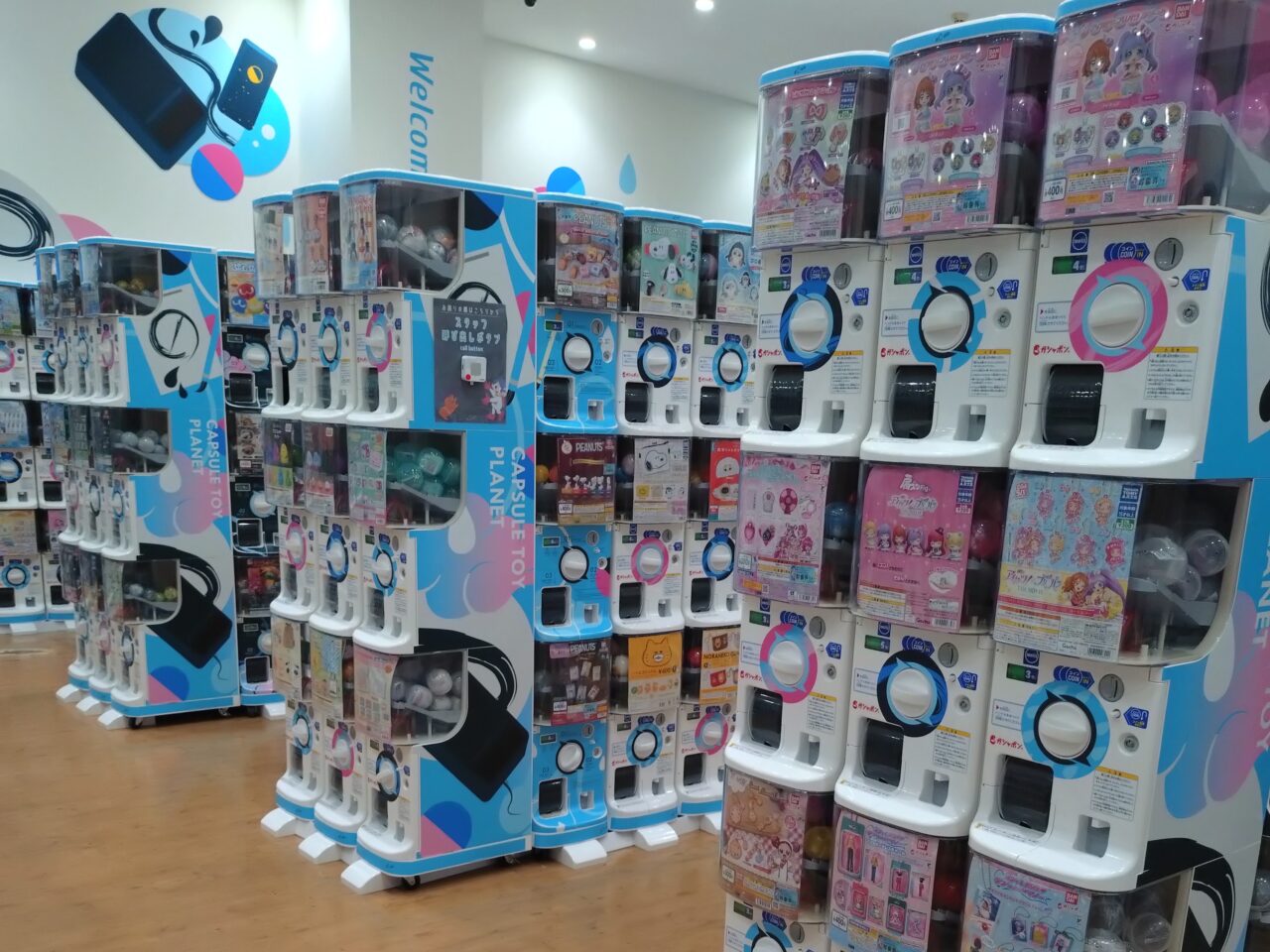 #C-pla（シープラ）