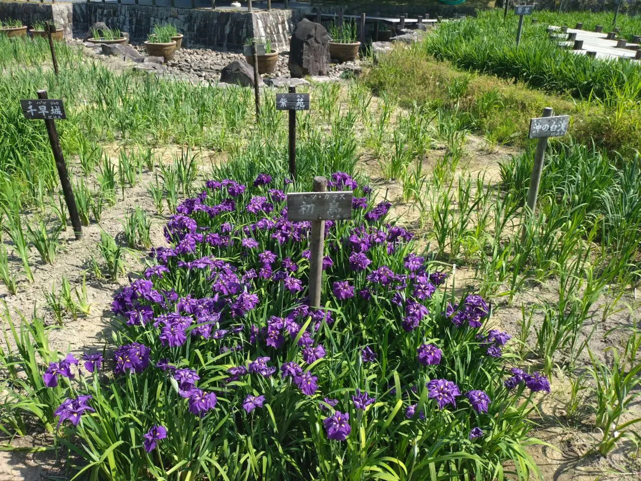 馬見丘陵公園