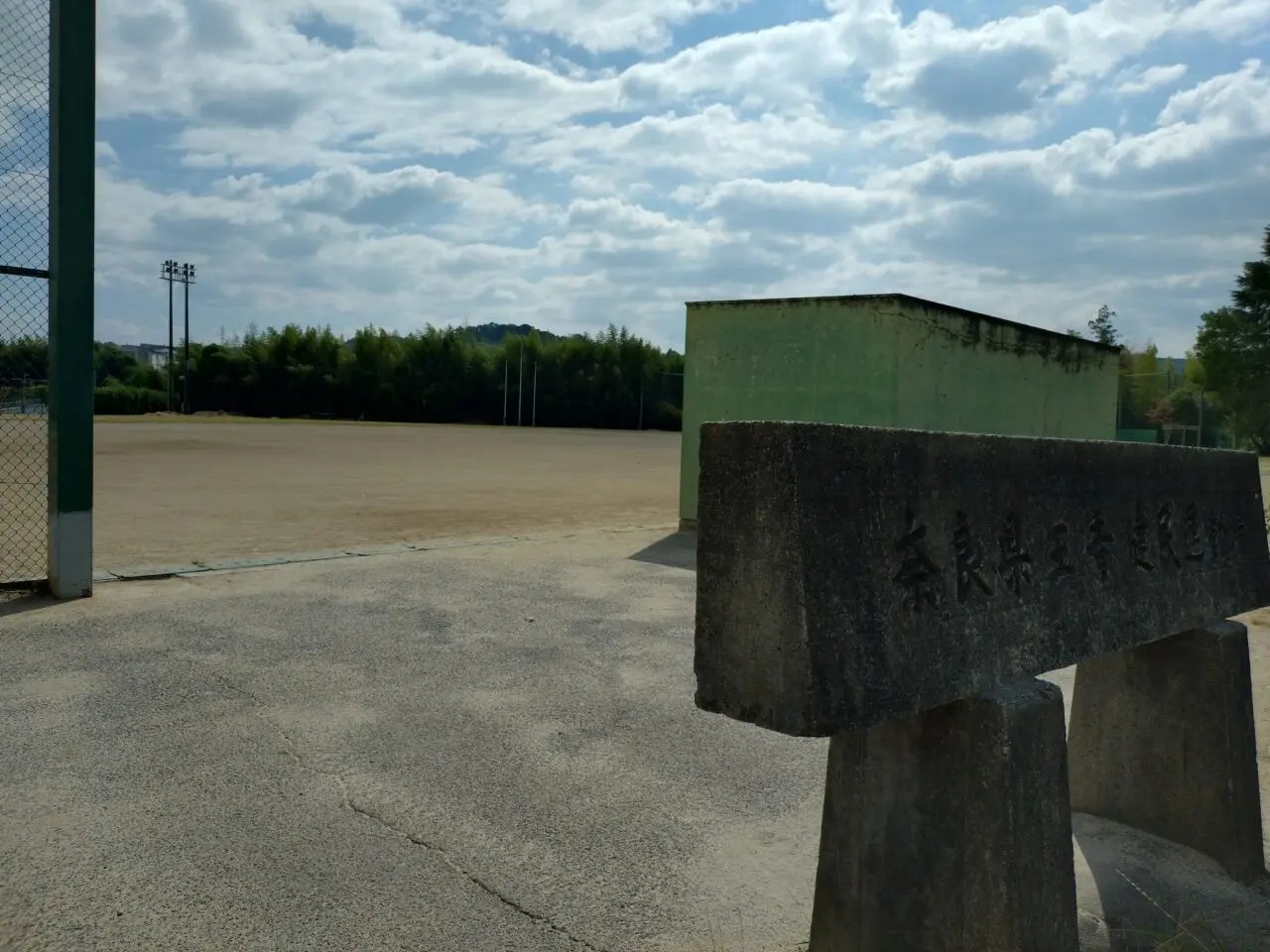 王寺町盆踊り