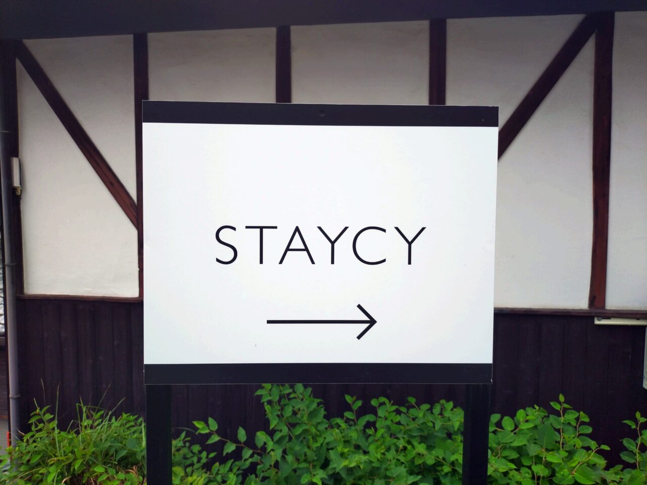 STAYCY